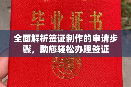 云阳全面解析签证制作的申请步骤，助您轻松办理签证