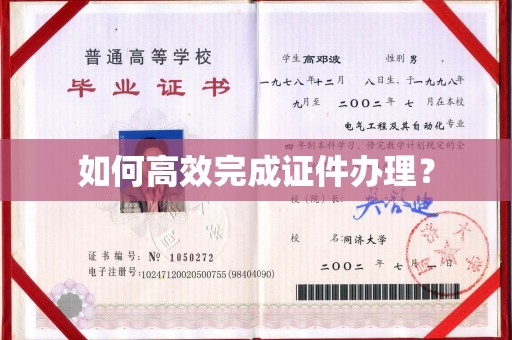 云阳如何高效完成证件办理？
