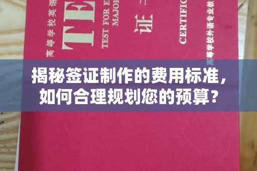 云阳揭秘签证制作的费用标准，如何合理规划您的预算？