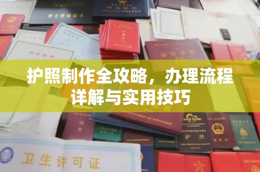 云阳护照制作全攻略，办理流程详解与实用技巧